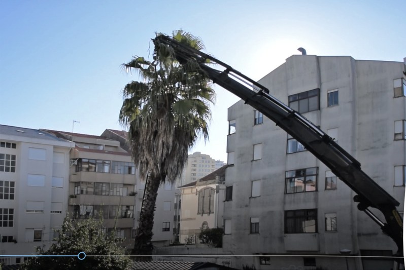 insulaperdita_PLA_viewexpo8